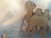 Cookie the Camel