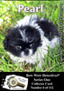 Photo Traders™ | Pearl | Bow Wow Detectives® | Print