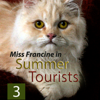 Meow Meow Detectives™ Presents: Miss Francine in Summer Tourists (Meow Meow Detectives™, #3)