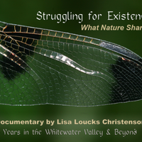 Struggling for Existence: What Nature Shared