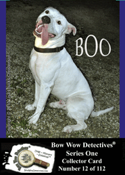Photo Traders™ | Boo | Bow Wow Detectives®