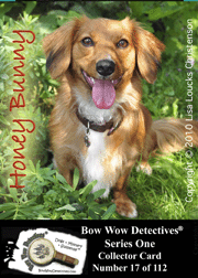 Electronic Photo Traders™ | Honey Bunny | Bow Wow Detectives®