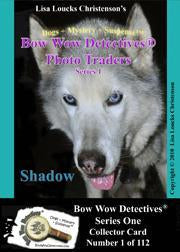 Electronic Photo Traders™ | Shadow | Bow Wow Detectives®