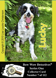 Electronic Photo Traders™ | Lucky | Bow Wow Detectives®
